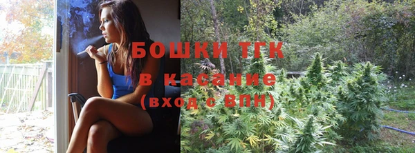 ГАЛЛЮЦИНОГЕННЫЕ ГРИБЫ Алексин