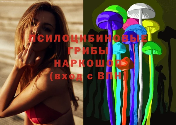 каннабис Алексеевка