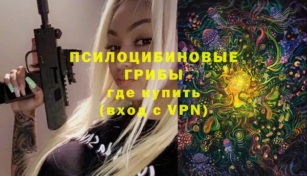ECSTASY Абаза